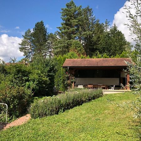 Maison/Gite Familial Dans Le Jura A 200M Du Lac Avec Piscine Privee Marigny  Екстер'єр фото