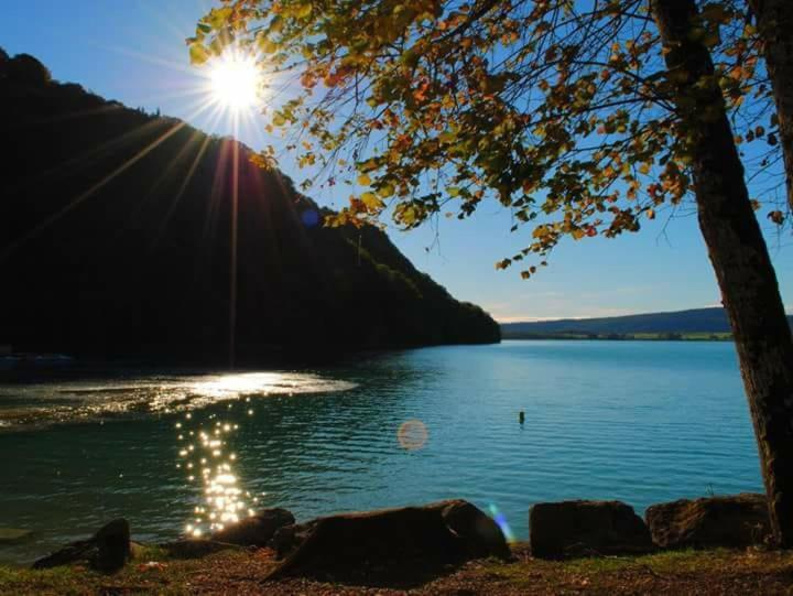 Maison/Gite Familial Dans Le Jura A 200M Du Lac Avec Piscine Privee Marigny  Екстер'єр фото