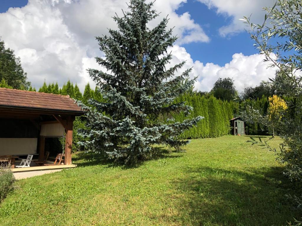 Maison/Gite Familial Dans Le Jura A 200M Du Lac Avec Piscine Privee Marigny  Екстер'єр фото