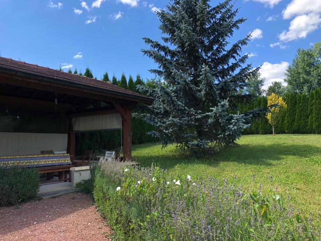Maison/Gite Familial Dans Le Jura A 200M Du Lac Avec Piscine Privee Marigny  Екстер'єр фото