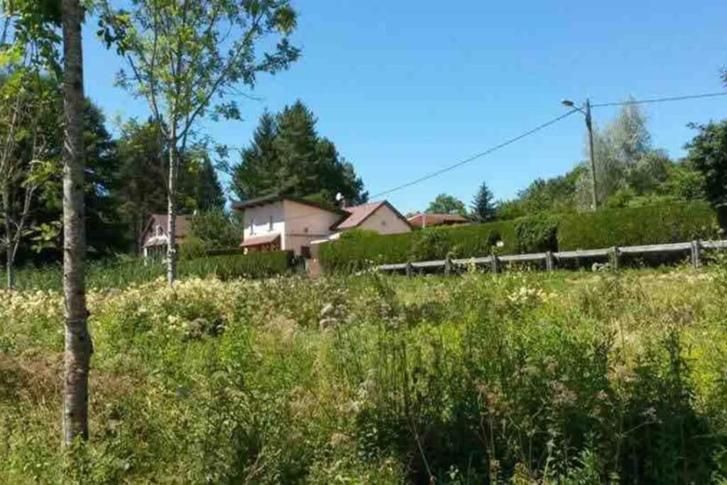 Maison/Gite Familial Dans Le Jura A 200M Du Lac Avec Piscine Privee Marigny  Екстер'єр фото