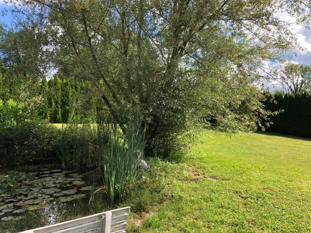Maison/Gite Familial Dans Le Jura A 200M Du Lac Avec Piscine Privee Marigny  Екстер'єр фото