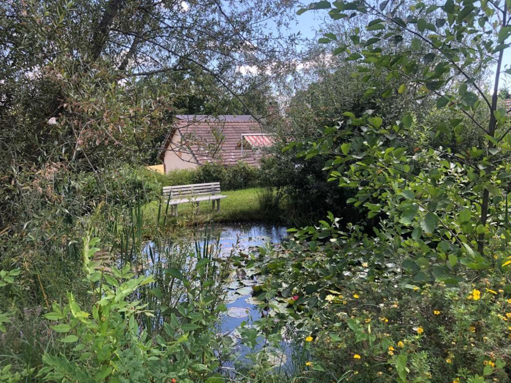 Maison/Gite Familial Dans Le Jura A 200M Du Lac Avec Piscine Privee Marigny  Екстер'єр фото